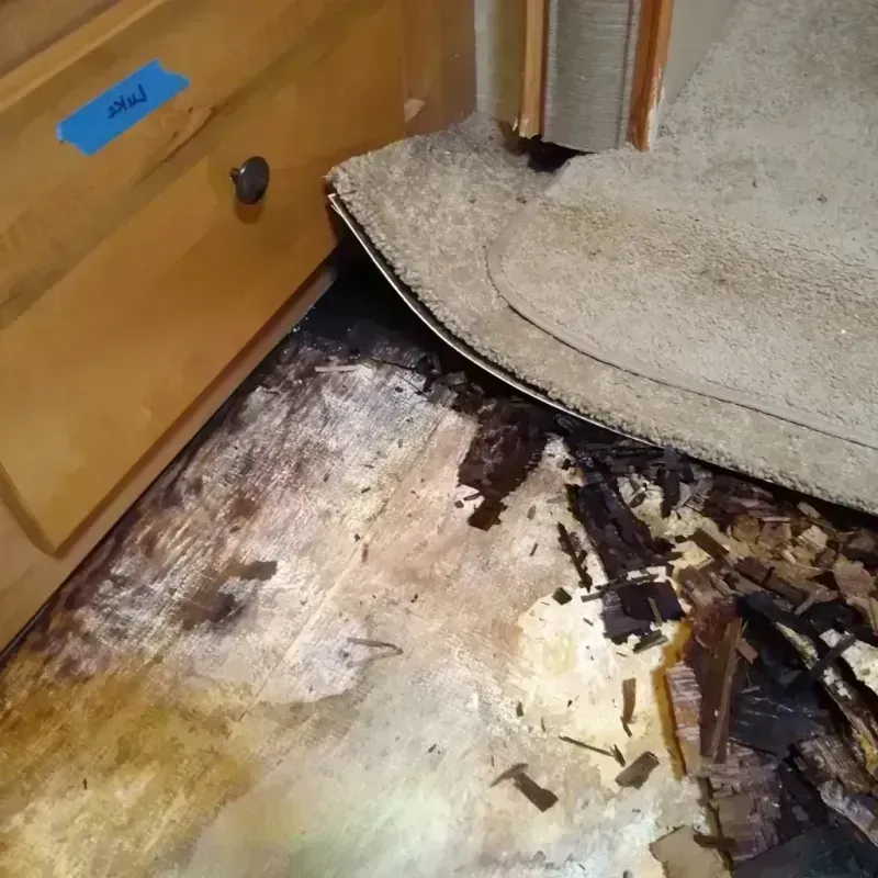 Best Wood Floor Water Damage Service in Colfax, LA